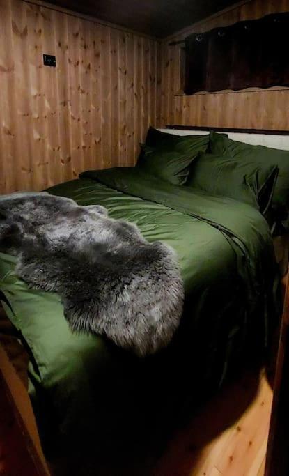 Cabin Aurora Borealis Sommarøy Exteriér fotografie