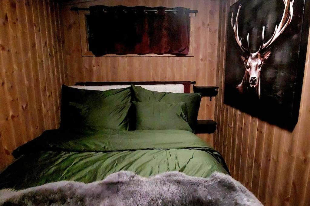 Cabin Aurora Borealis Sommarøy Exteriér fotografie